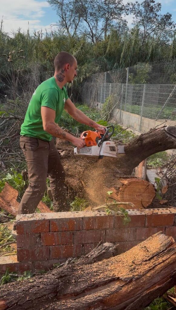 limpieza de exteriores