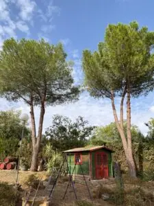 podas en altura