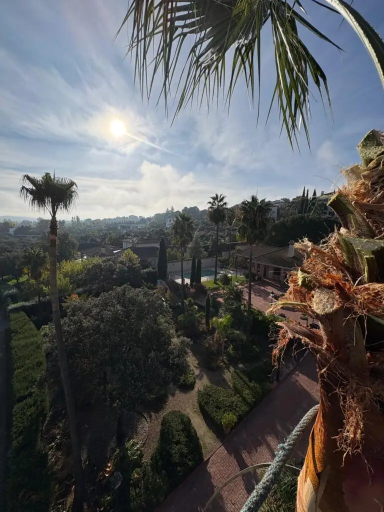 Imagen que muestra un plano de un jardín remodelado por Jardinería del Álamo